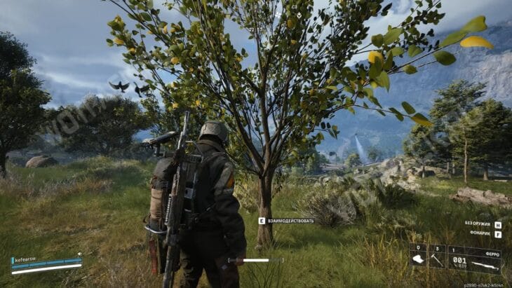 Рейдер перед деревом с абрикосами