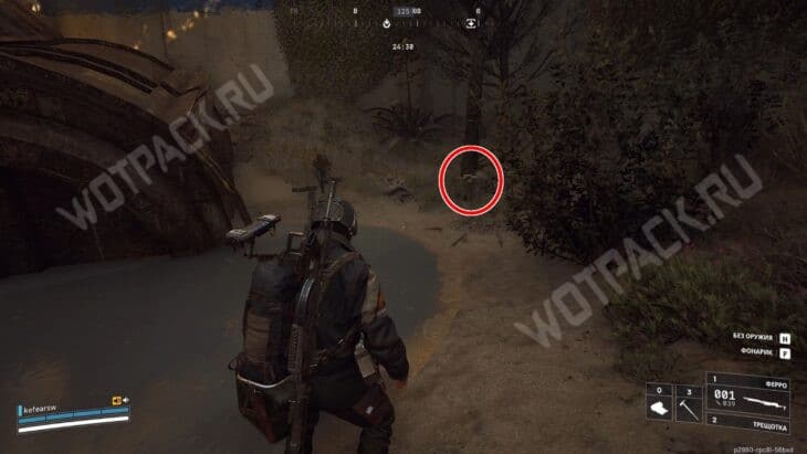 Дерево с грибами в траншее