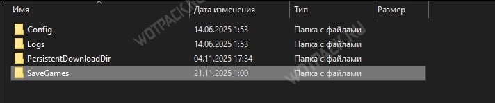 Где лежат сохранения в Dispatch