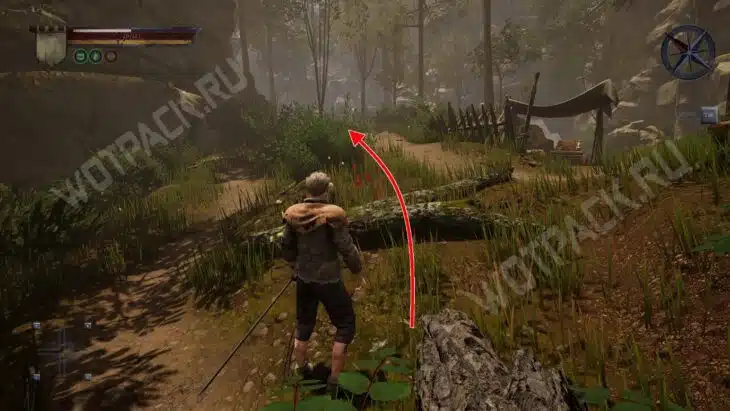 Путь мимо лагеря браконьера