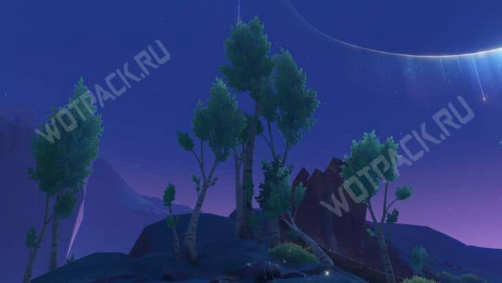 Зеленая пихта