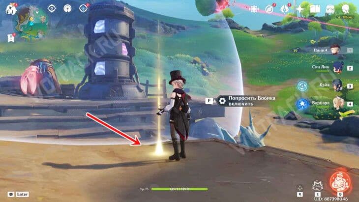 Открытие барьера Бобиком