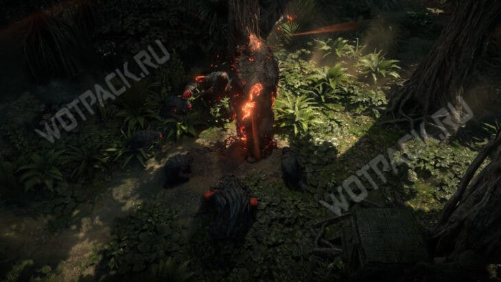 Медведь в джунгляв издаёт рёв