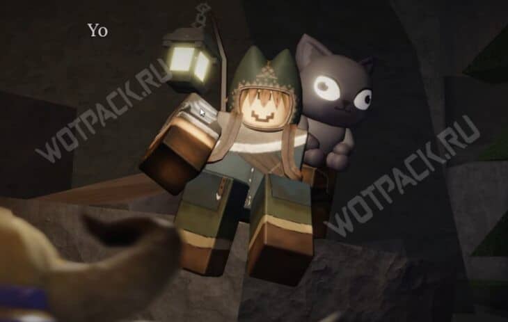 Исследователь Томо со своим питомцем