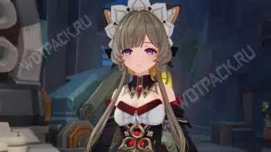 Инсайдер раскрыл следующего метового дд и его саппорта в Genshin Impact