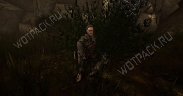 Все учителя навыков в Of Ash and Steel: где найти