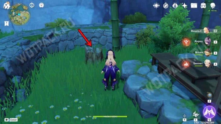 Неожиданное задание в Genshin Impact: как пройти Аллан Смити, автор Фишль