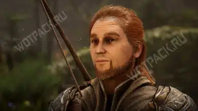 Прохождение квеста «Дрова для охотников» в Of Ash and Steel