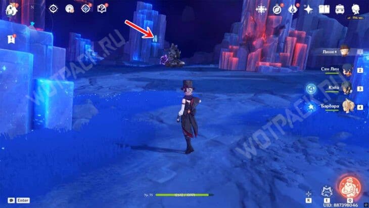 Барьер в Мшистой пустоши в Genshin Impact: как убрать