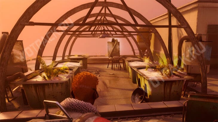 Теплица на крыше Пьяцца Рома