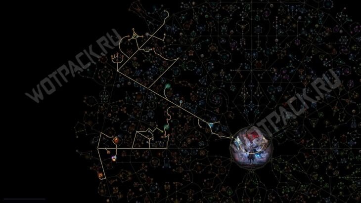 Друид в PoE 2: гайд по билдам волка, медведя и виверны