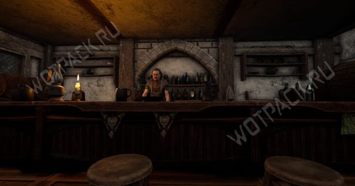 Все учителя навыков в Of Ash and Steel: где найти