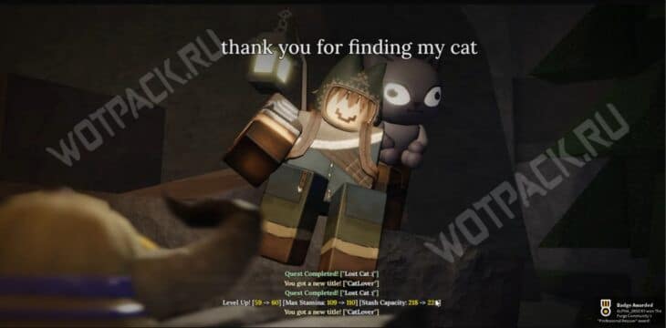 Где найти кота в The Forge: как пройти квест Томо
