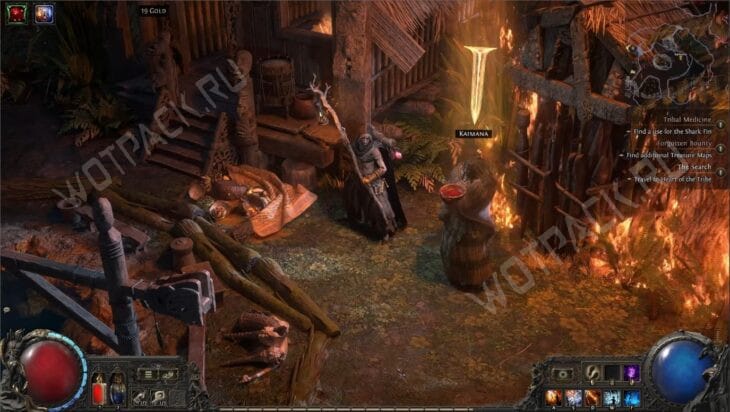 Каймана в Круге медицины