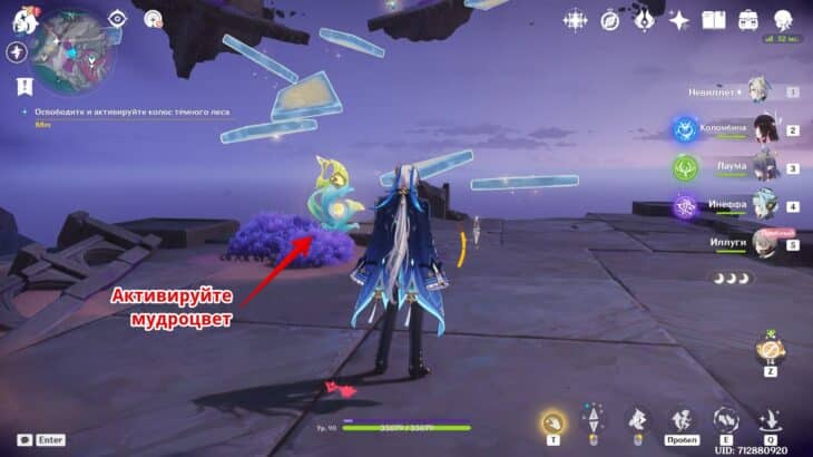 Первый мудроцвет