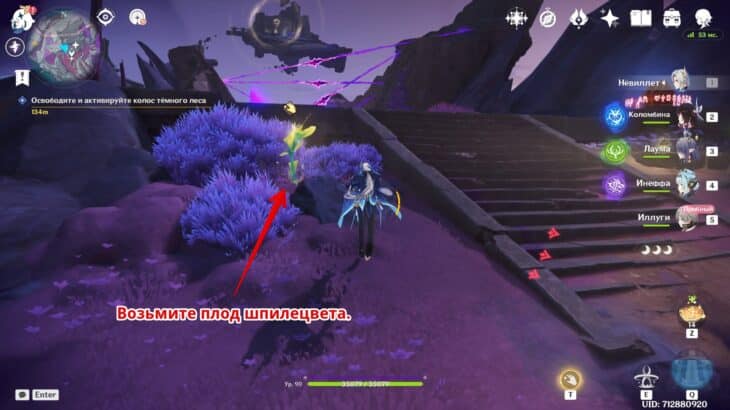 Шпилецвет в кустах