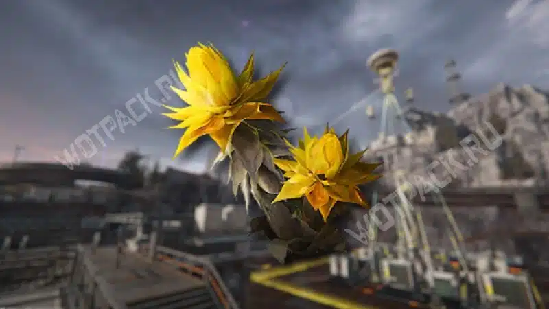 Песанолист на фоне электростанции на плато Энергии