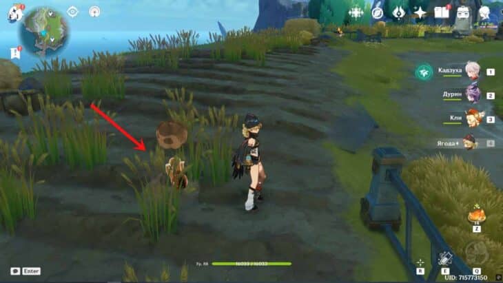 Берина в Genshin Impact: как найти рожь и открыть достижение Будет и хлеб