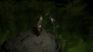 Колодец душ в Path of Exile 2: гайд по очернению