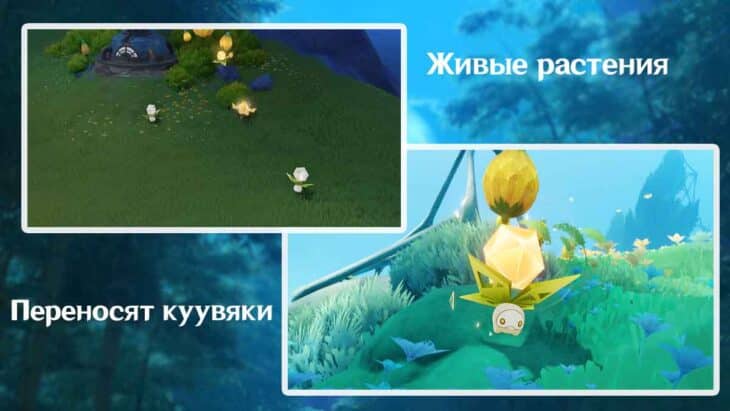 Куувяки в Genshin Impact: что это такое и как работает