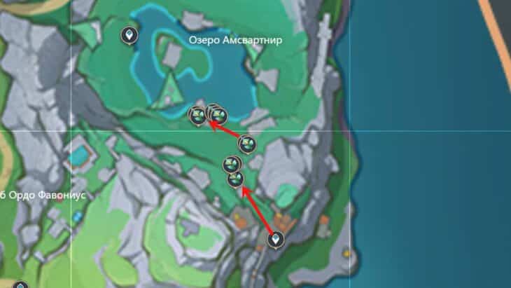 Шпороцветник в Genshin Impact: где найти и у кого купить