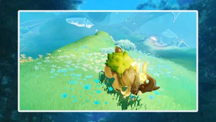 Живые растения в виде овечек