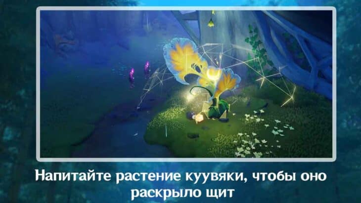 Как раскрыть щит у растения