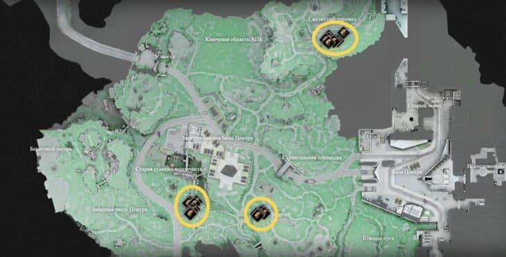 Расположение розовых грибов в Центре