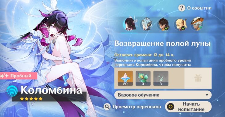 Шпороцветник в Genshin Impact: где найти и у кого купить