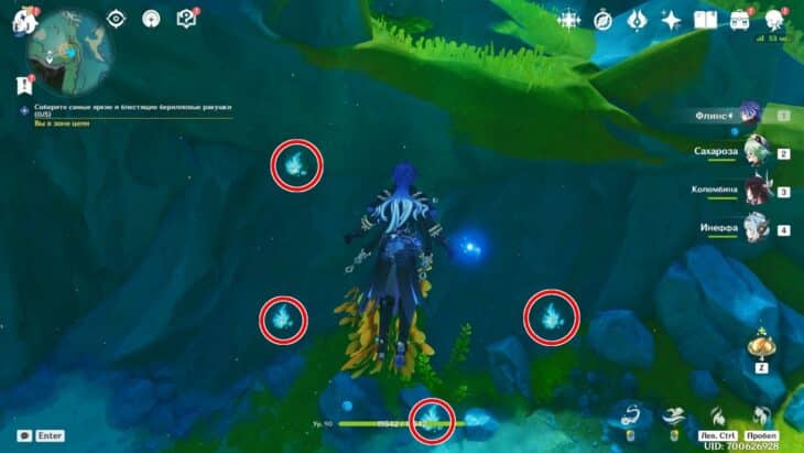 Берилловые ракушки внутри древнего черепа