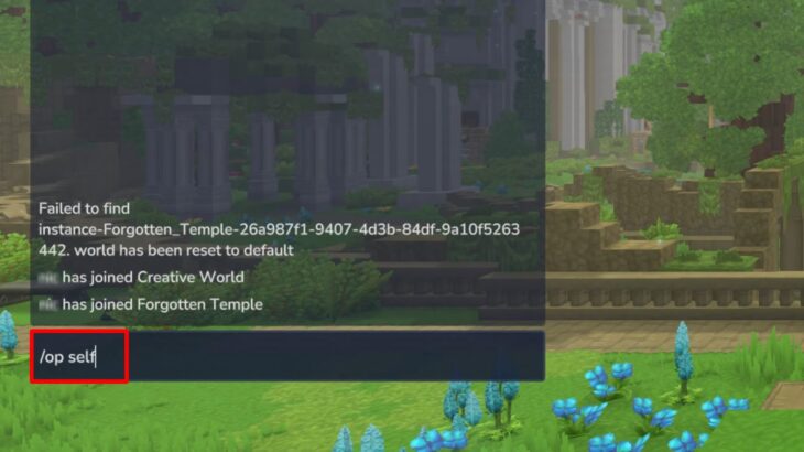 Выдача оператора игроку