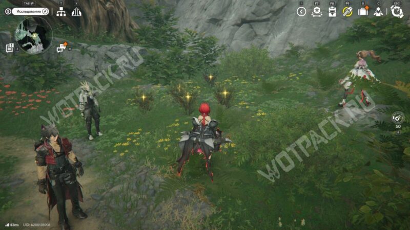 Гречецвет в открытом мире