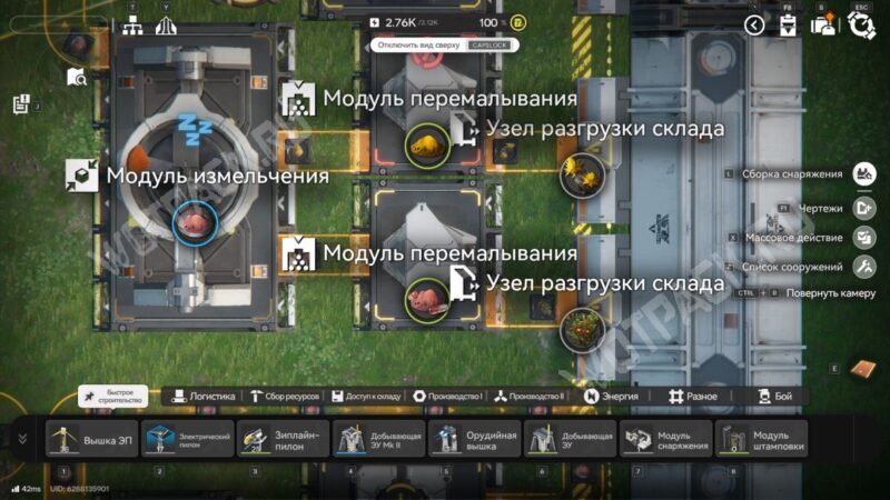 Гречецвет в Arknights Endfield: где найти и как добыть молотый