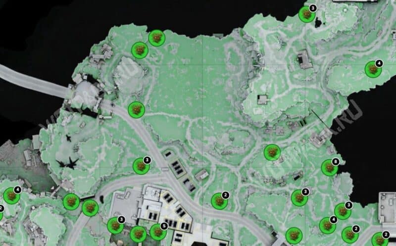 Гречецвет в Arknights Endfield: где найти и как добыть молотый