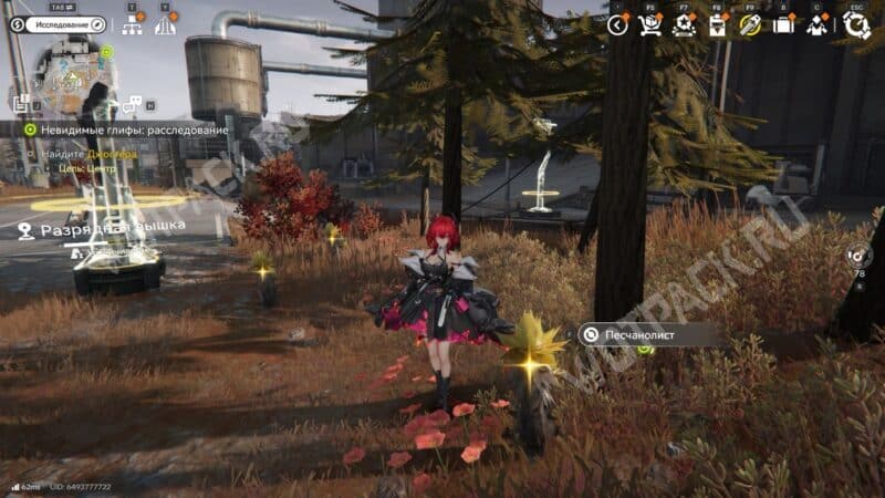 Цветы песчанолиста, расположенные на плато Энергии