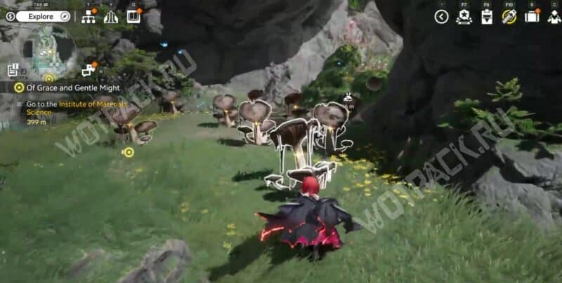 Лужайка с грибами кровянниками в окрестностях Улина