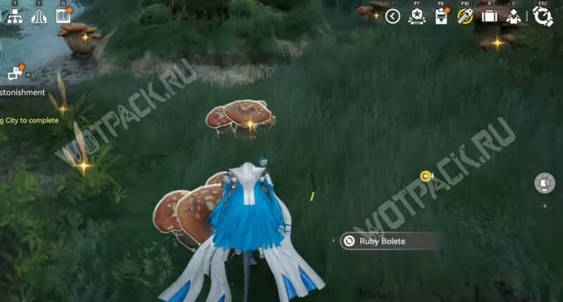 Рубиновый гриб на побережье озера