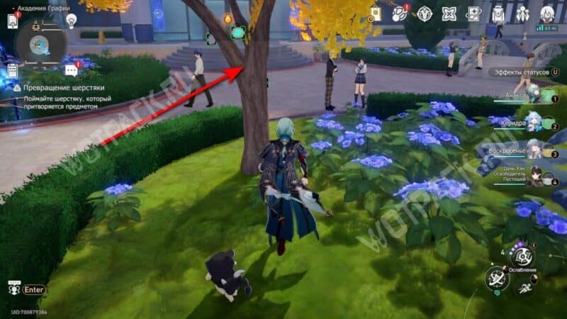 Академия Графии в HSR: все сундуки и загадки