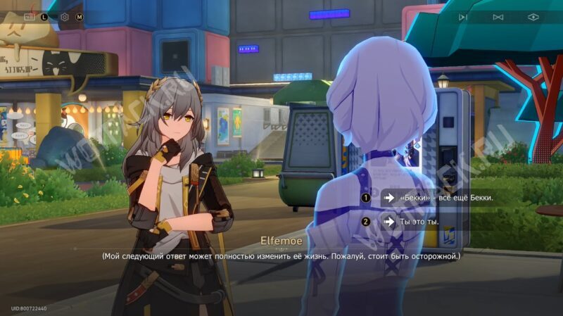 Букет блаженным в HSR: как ввести корректные данные