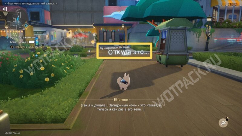 Букет блаженным в HSR: как ввести корректные данные