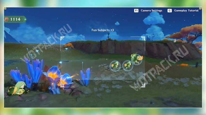 Съемка животных во время экскурсии