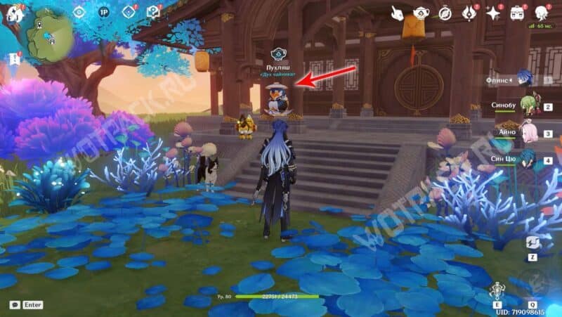 Расположение Пухляша в Чайнике безмятежности