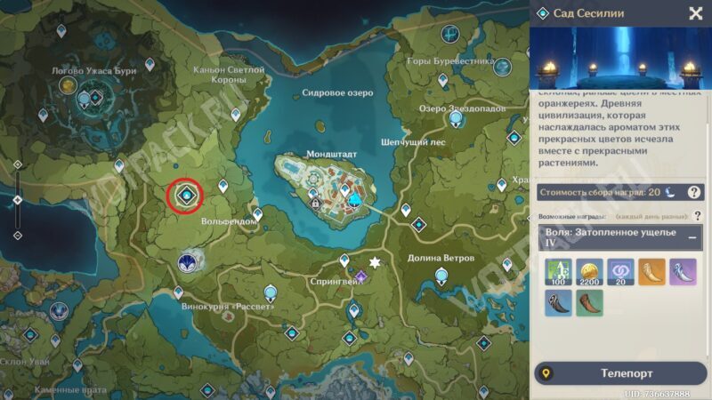 Сад Сесилии на игровой карте