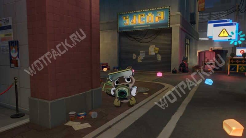 Енот с камерой в темном переулке Голубиного района