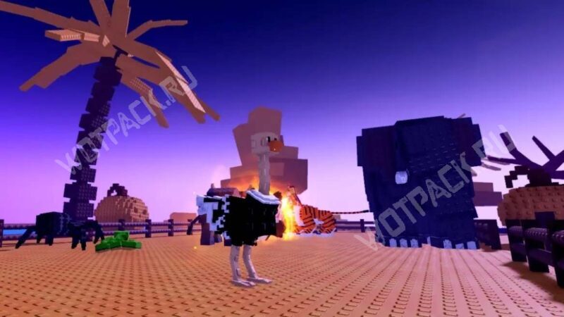 Страус и тропические питомцы в загоне на фоне заката