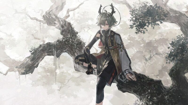 Лифэн в Arknights Endfield: гайд по командам и сборке билда