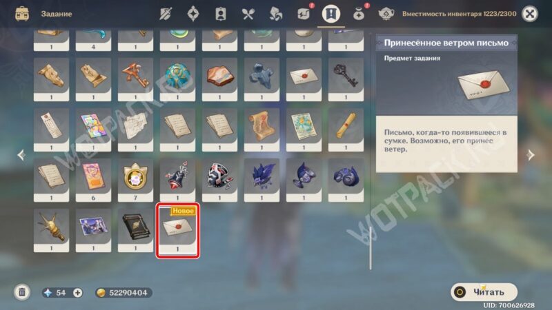 Принесенное вестром письмо в инвентаре