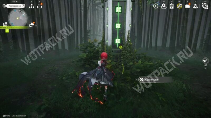 Безмолвная роща в Arknights Endfield: как попасть в рощу Скитальцев