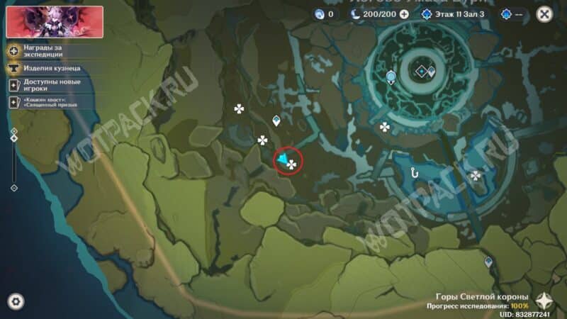 Туманные цветы в Genshin Impact: где найти и как собрать