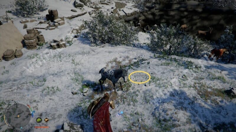 Как приручить и оседлать лошадь в Crimson Desert